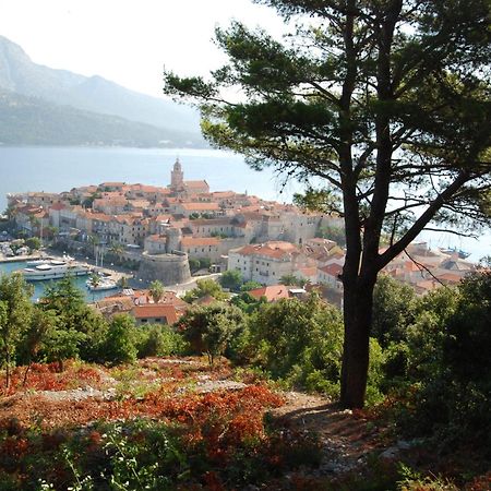 Villa Nova Vela Luka Exteriör bild