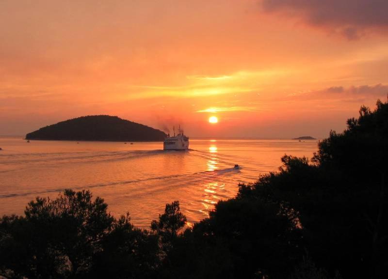 Villa Nova Vela Luka Exteriör bild